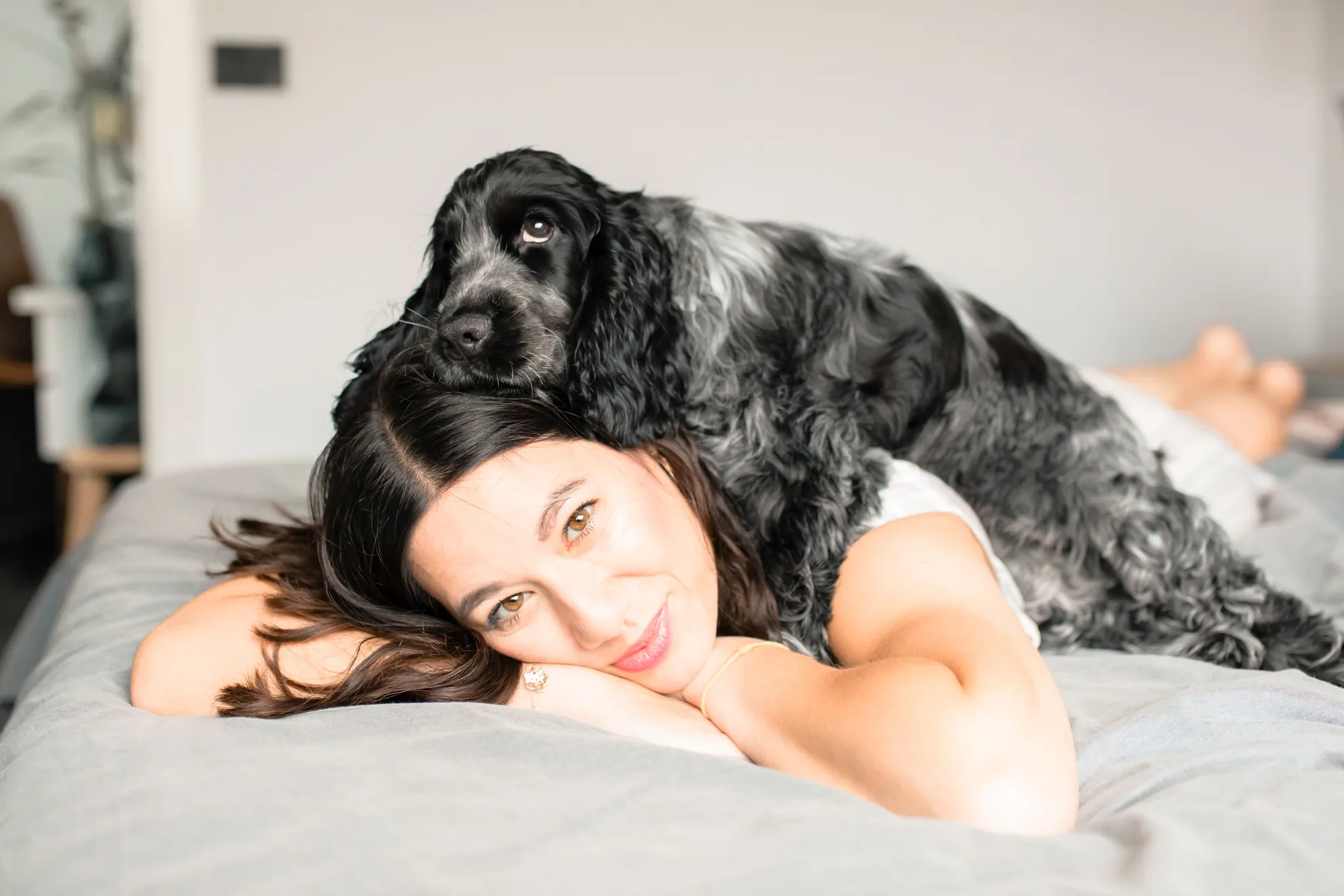 a black and grey cocker spaniel puppy laying on her mum's head during a professional lifestyle puppy photoshoot in Melbourne