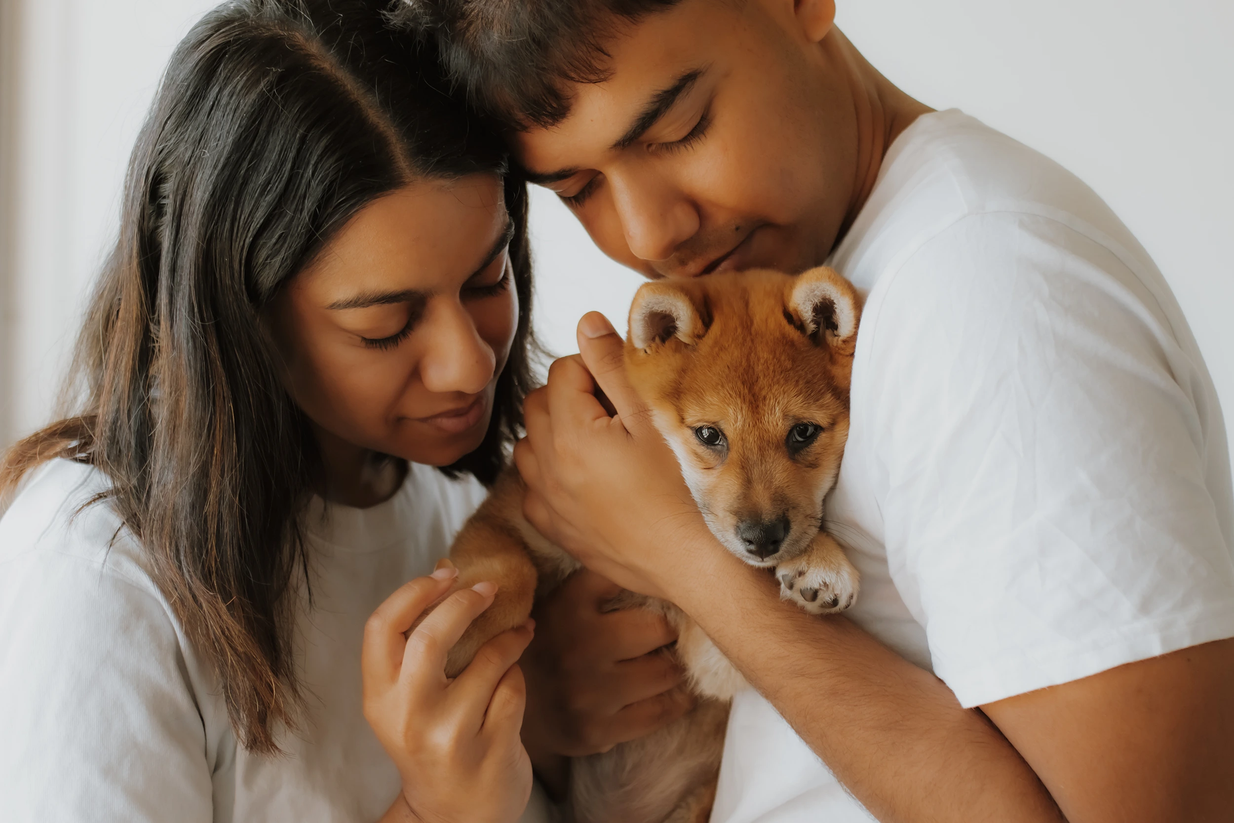 A couple lovingly cradles their shiba inu puppy during a family puppy portrait session in Melbourne
